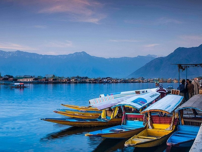 Hồ Dal - Một trong những hồ nước đẹp nhất Ấn Độ