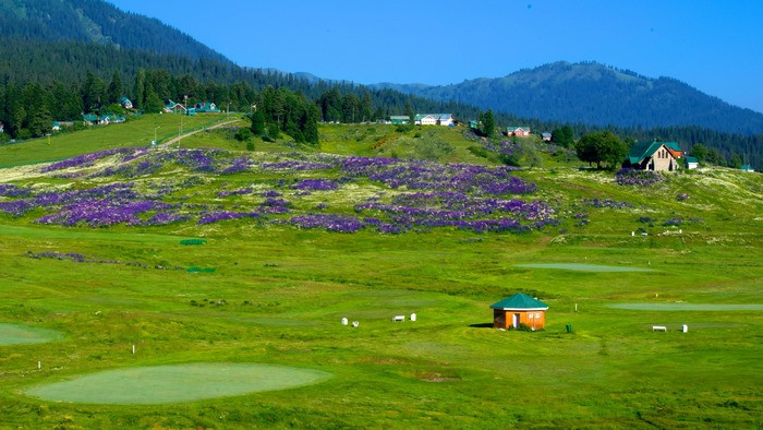 Gulmarg