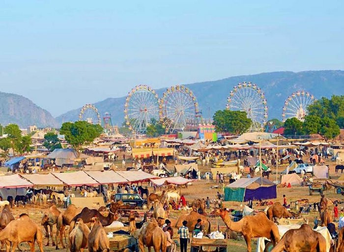 hội chợ lạc đà Pushkar