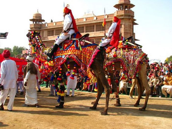 hội chợ lạc đà Pushkar