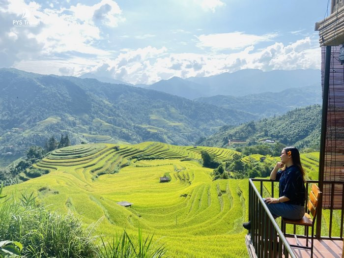 ruộng bậc thang nậm khòa hoàng su phì