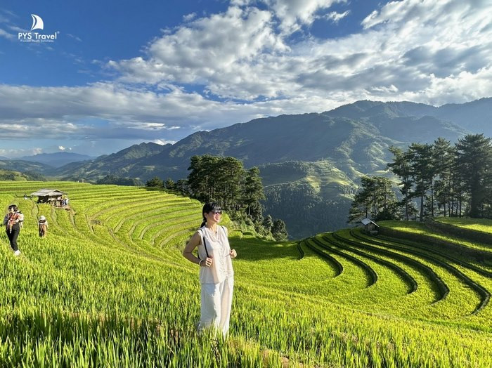 Ruộng bậc thang Móng Ngựa Mù Cang Chải