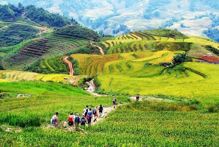 Bản Sín Chải