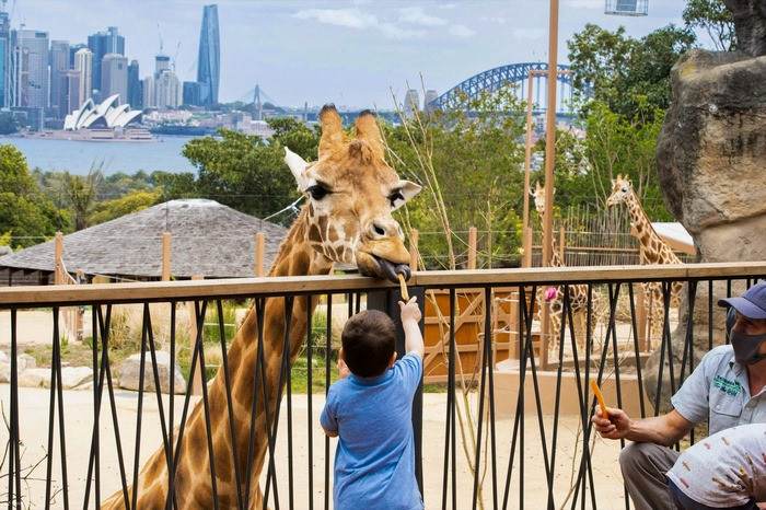 sydney-zoo-pystravel.jpg