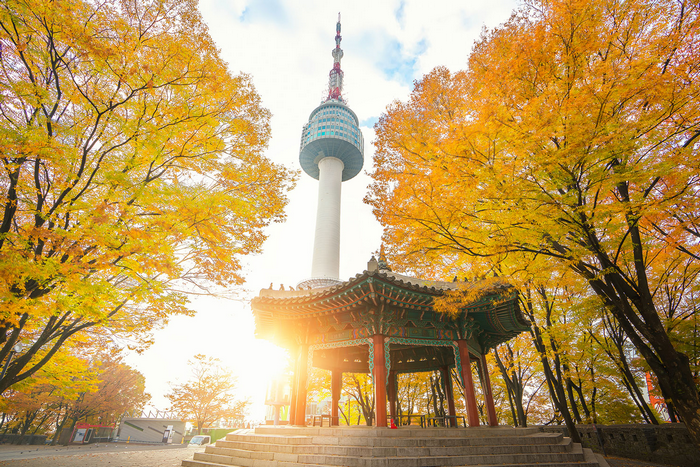 đường lên tháp namsan mùa thu