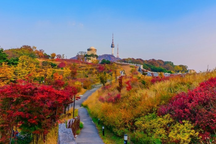 Công viên Namsan