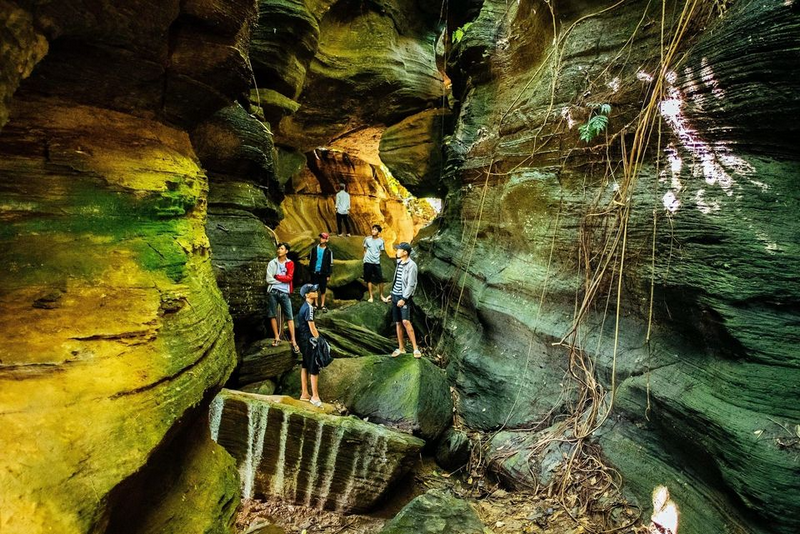 hang dơi tiên an