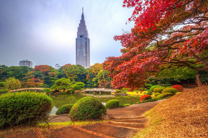 tokyo nhật bản