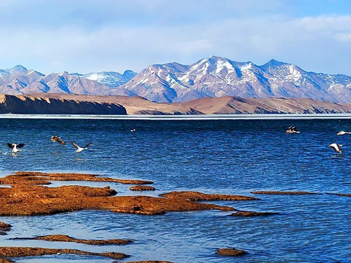 hồ manasarovar