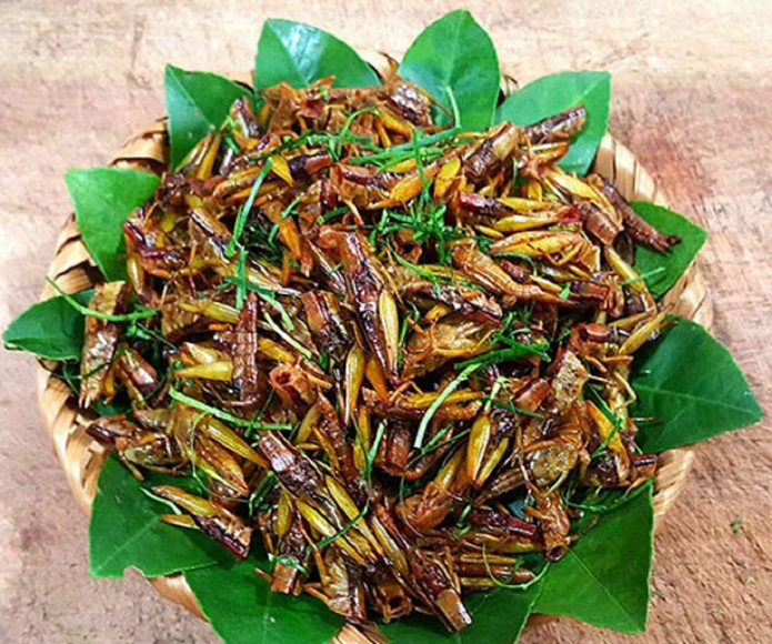 châu chấu rang