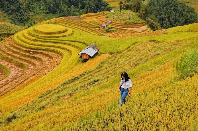 la pán tẩn mù cang chải tháng 10