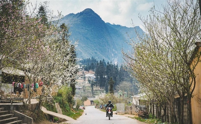 thị trấn phó bảng - đồng văn hà giang