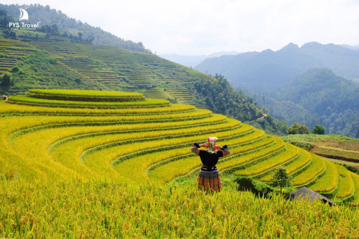 ruộng bậc thang chế cu nha - mù cang chải