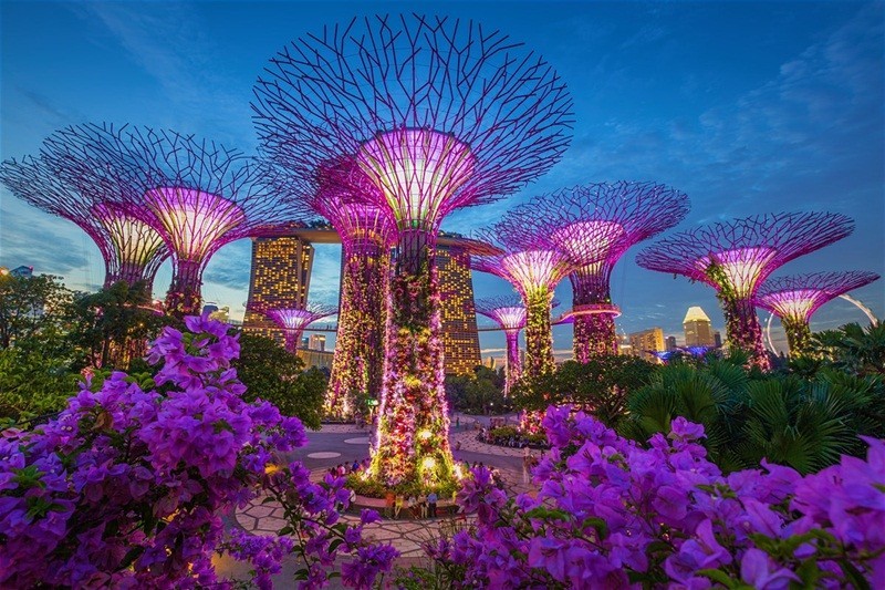 Tháng 3 là mùa hoa đua nhau nở rộ tại Singapore. Những cây đào đang trong đợt nở, hoa sưa cũng đang đua nhau khoe sắc. Tận dụng cơ hội này để tới xem những cánh hoa đẹp nhất và cùng trải nghiệm những gì mà thành phố đắt đỏ này mang lại!
