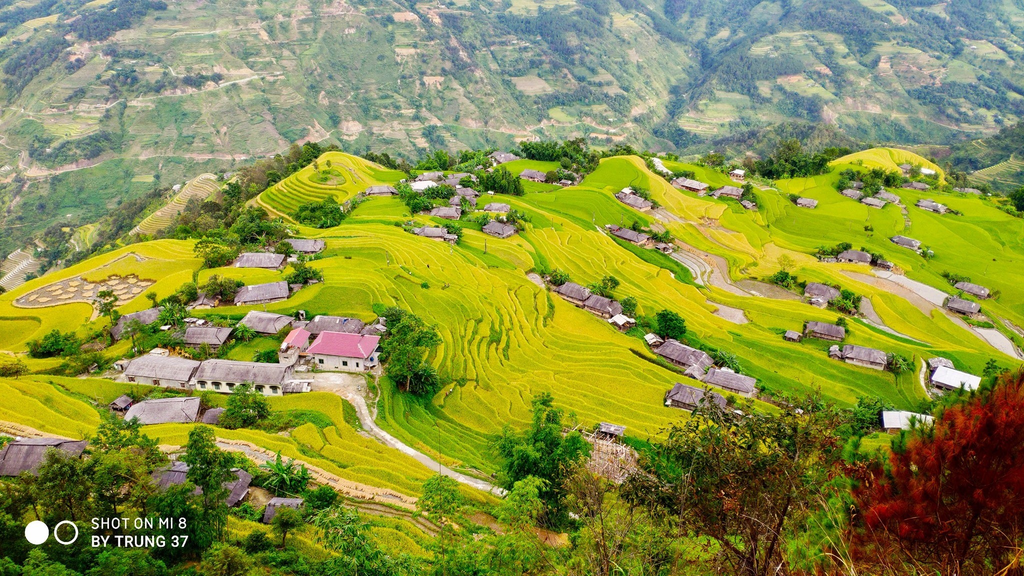 Khám phá vùng đất tuyệt đẹp của Hoàng Su Phì Hà Giang, nơi có những bậc thang đẹp như tranh vẽ và những dân tộc đa sắc tộc đang sinh sống hòa quyện với thiên nhiên. Hãy khám phá vùng đất này để tìm hiểu về văn hóa, lịch sử và địa danh độc đáo của Hà Giang.