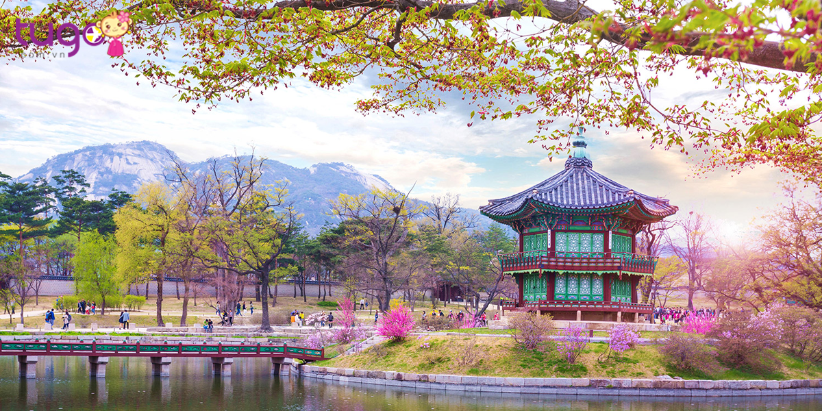 Du lịch Hàn Quốc - Đây chắc chắn là một cuộc phiêu lưu tuyệt vời. Đến Hàn Quốc, bạn sẽ được trải nghiệm những đặc sản ẩm thực độc đáo, những di sản văn hóa cổ kính và những khung cảnh thiên nhiên đẹp như mơ. Du lịch Hàn Quốc sẽ khiến bạn không thể quên được những khoảnh khắc đáng nhớ.