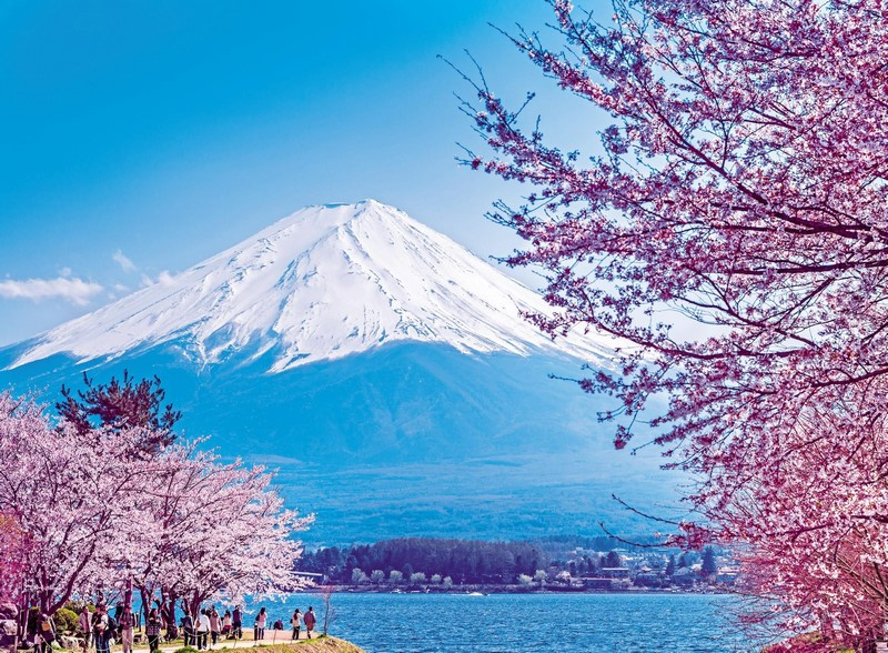 Du lịch Nhật Bản - ngắm trọn vẻ đẹp 4 mùa xinh đẹp trong tầm mắt