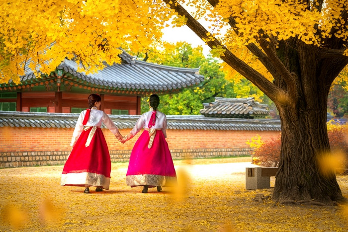 Du lịch Hàn Quốc tháng 11 có gì ?