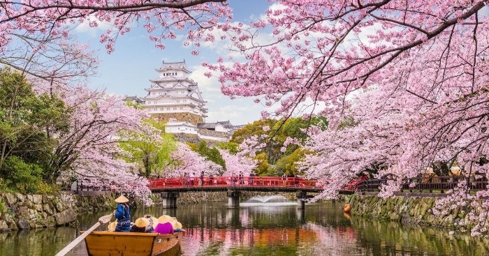Osaka có những mùa hoa nào để du khách trải nghiệm?