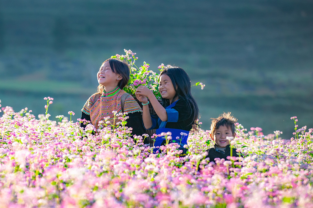 Du lịch Hà Giang tháng 11 có thực sự đẹp như lời đồn?