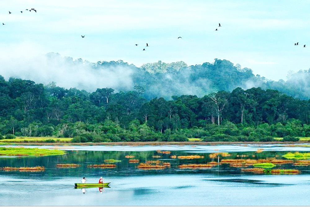 Tour Nam Cát Tiên 2 ngày 1 đêm từ TP.HCM - Tết Dương Lịch 2025