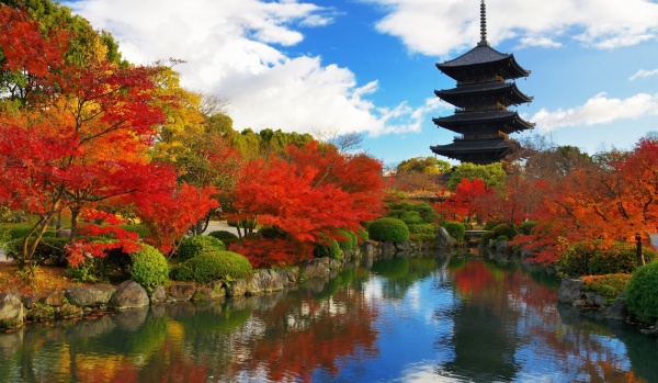 Tour Nhật Bản mùa lá đỏ: Osaka - Kyoto - Núi Phú Sĩ - Tokyo 6 ngày 5 đêm từ Hà Nội