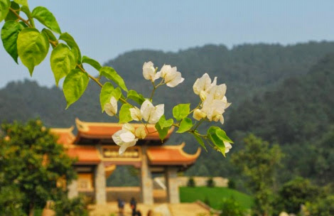 PYS Travel tổ chức lễ cầu an đầu năm 2017 tại thiền viện Trúc Lâm An Tâm